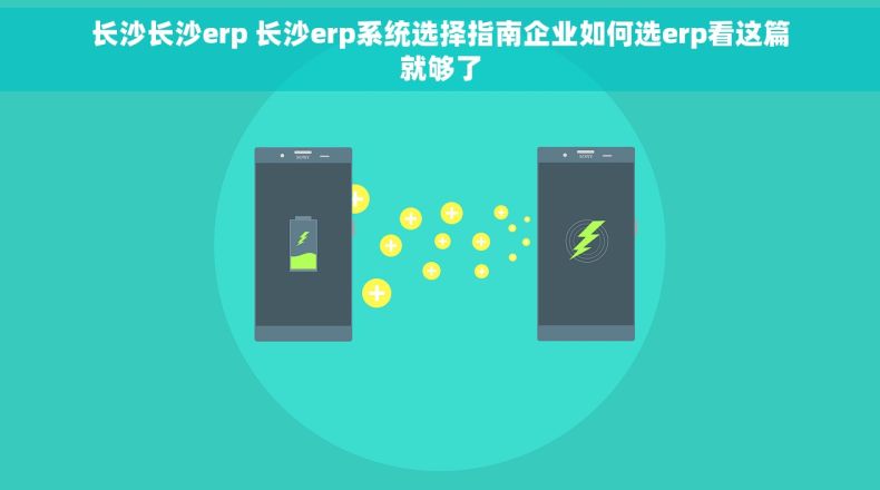 长沙长沙erp 长沙erp系统选择指南企业如何选erp看这篇就够了