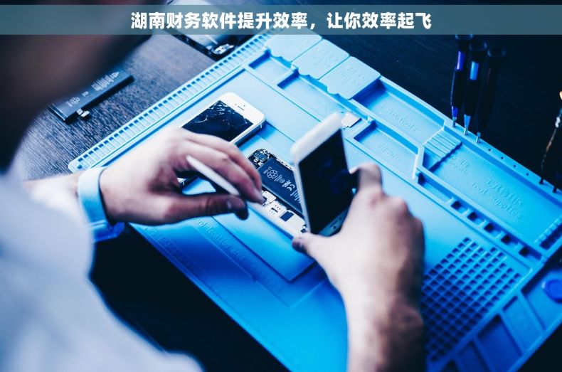 湖南财务软件提升效率，让你效率起飞