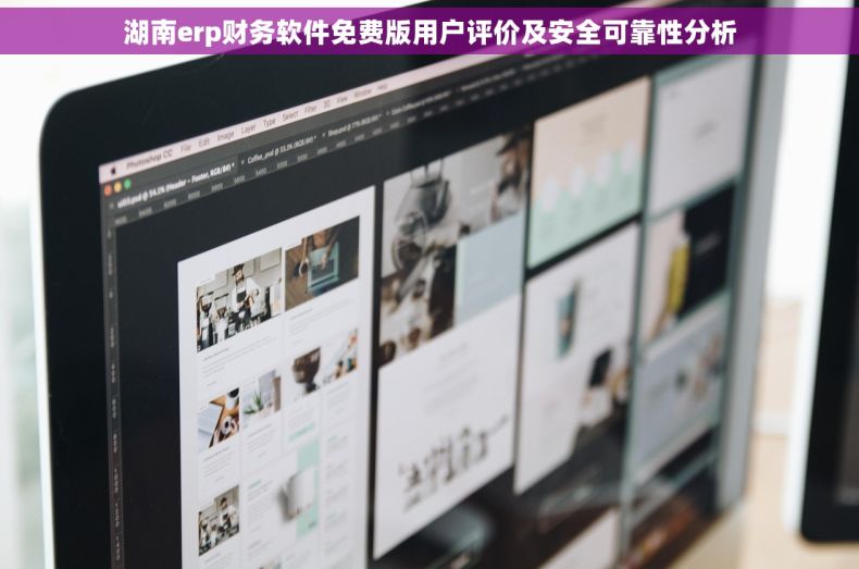 湖南erp财务软件免费版用户评价及安全可靠性分析