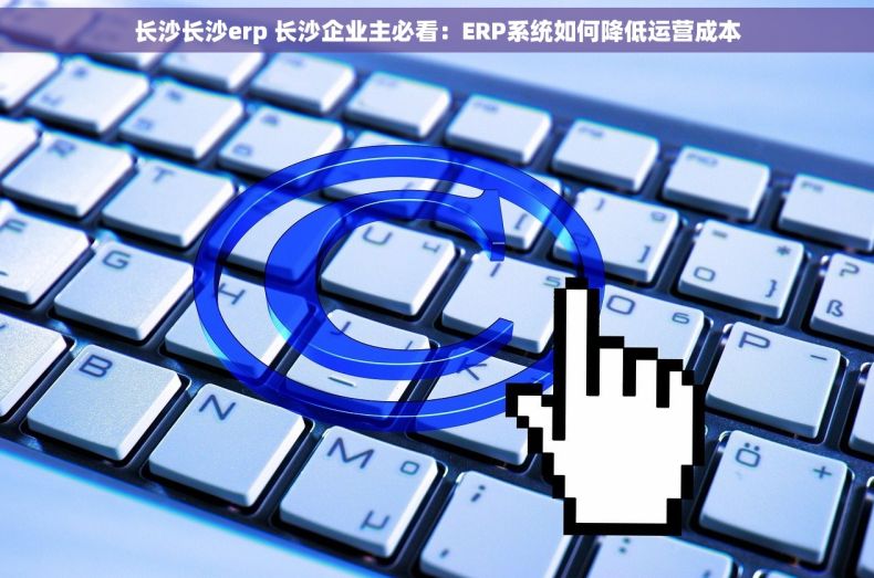 长沙长沙erp 长沙企业主必看：ERP系统如何降低运营成本