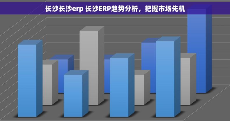 长沙长沙erp 长沙ERP趋势分析，把握市场先机