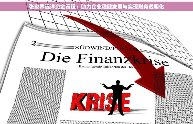 张家界远洋资金管理：助力企业稳健发展与实现财务透明化