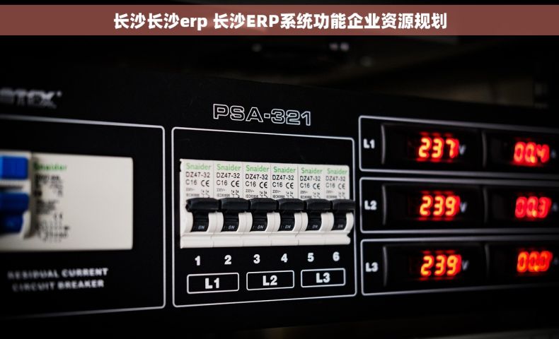 长沙长沙erp 长沙ERP系统功能企业资源规划
