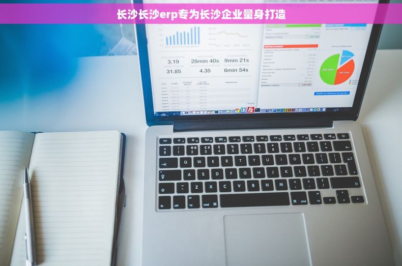 长沙长沙erp专为长沙企业量身打造