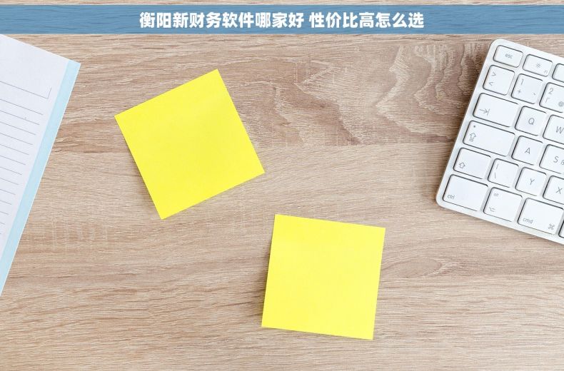 衡阳新财务软件哪家好 性价比高怎么选
