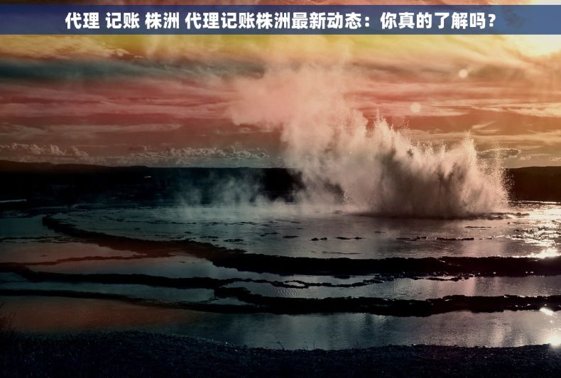 代理 记账 株洲 代理记账株洲最新动态：你真的了解吗？