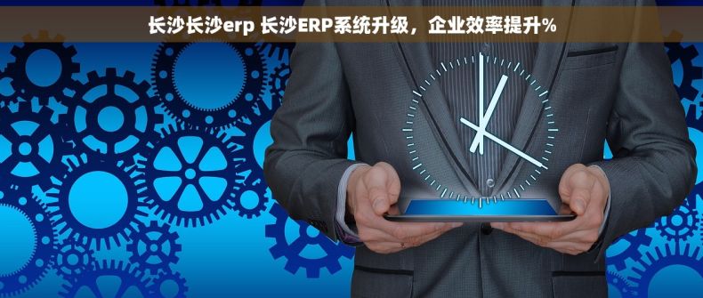 长沙长沙erp 长沙ERP系统升级，企业效率提升%