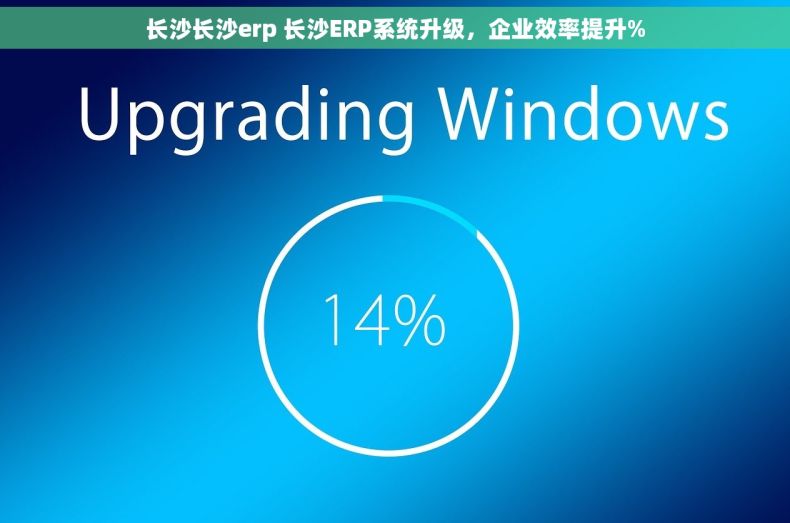 长沙长沙erp 长沙ERP系统升级，企业效率提升%