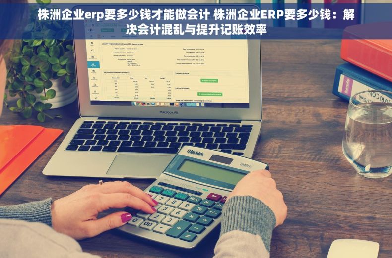株洲企业erp要多少钱才能做会计 株洲企业ERP要多少钱：解决会计混乱与提升记账效率