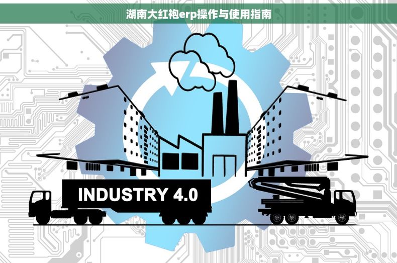 湖南大红袍erp操作与使用指南