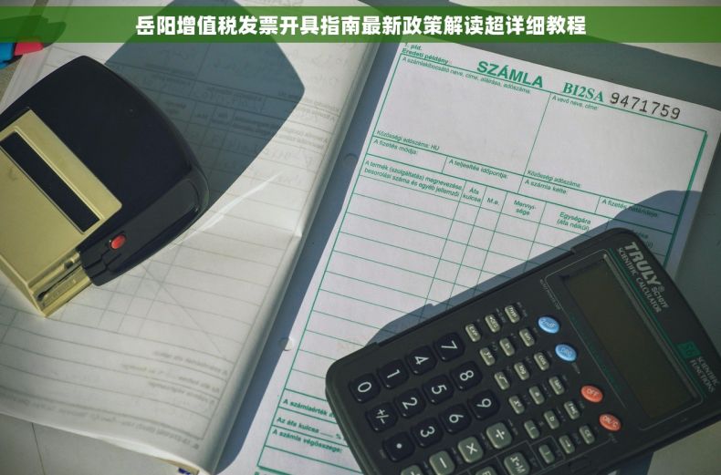 岳阳增值税发票开具指南最新政策解读超详细教程