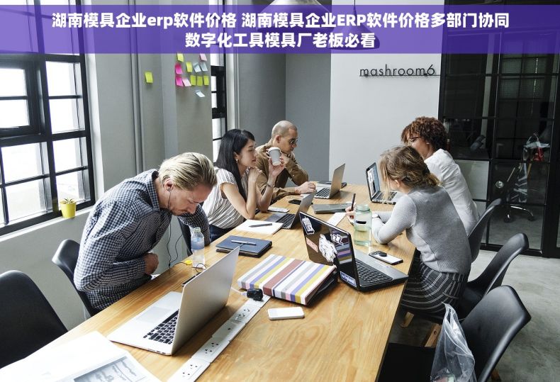 湖南模具企业erp软件价格 湖南模具企业ERP软件价格多部门协同数字化工具模具厂老板必看