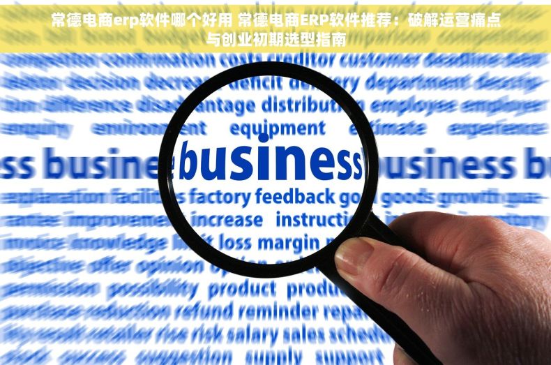 常德电商erp软件哪个好用 常德电商ERP软件推荐：破解运营痛点与创业初期选型指南