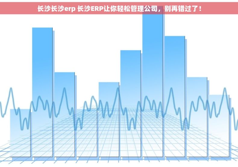 长沙长沙erp 长沙ERP让你轻松管理公司，别再错过了！