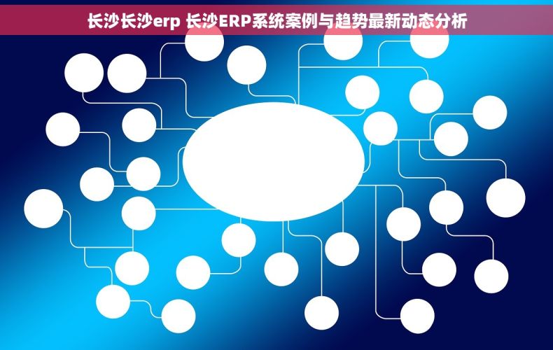 长沙长沙erp 长沙ERP系统案例与趋势最新动态分析