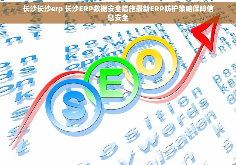长沙长沙erp 长沙ERP数据安全措施最新ERP防护策略保障信息安全