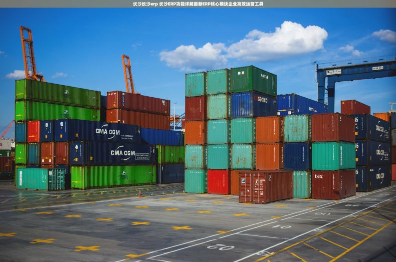 长沙长沙erp 长沙ERP功能详解最新ERP核心模块企业高效运营工具