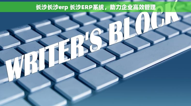 长沙长沙erp 长沙ERP系统，助力企业高效管理