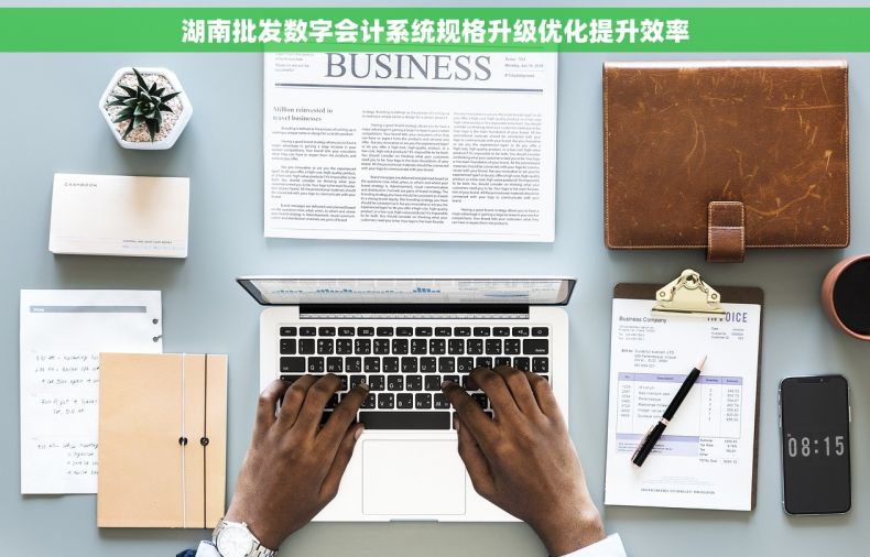 湖南批发数字会计系统规格升级优化提升效率