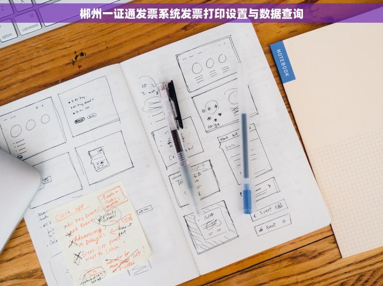 郴州一证通发票系统发票打印设置与数据查询