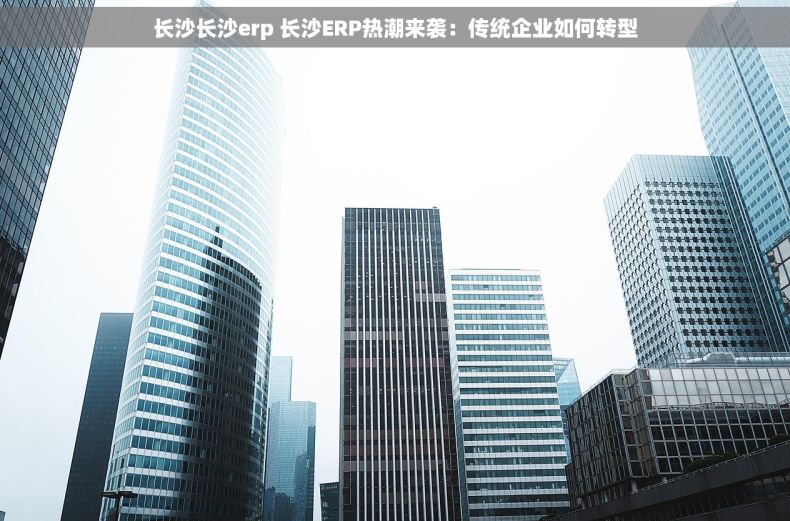 长沙长沙erp 长沙ERP热潮来袭：传统企业如何转型