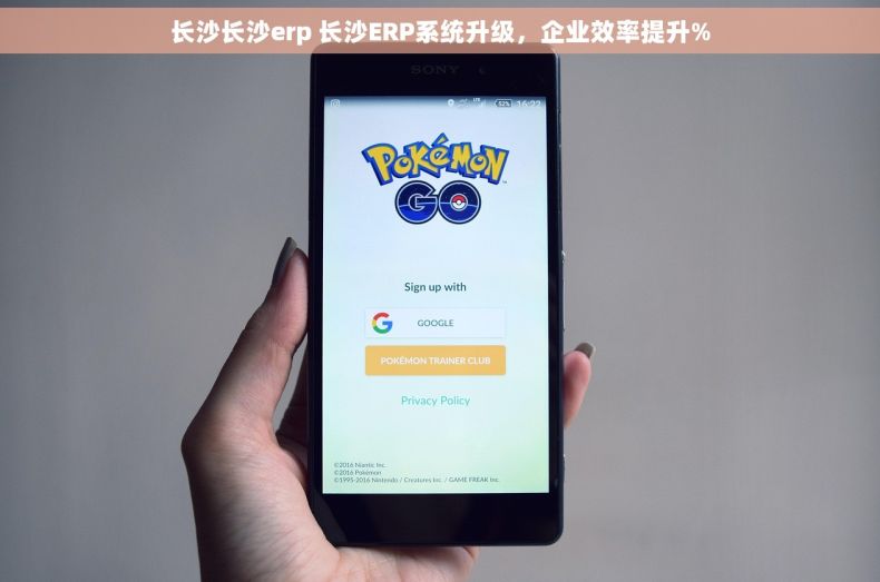 长沙长沙erp 长沙ERP系统升级，企业效率提升%