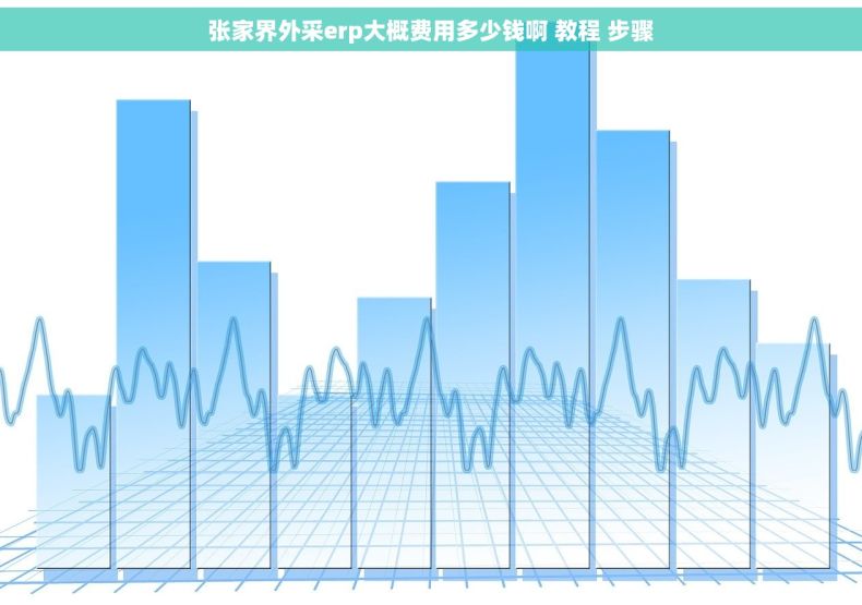 张家界外采erp大概费用多少钱啊 教程 步骤