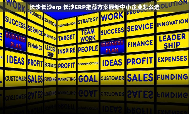 长沙长沙erp 长沙ERP推荐方案最新中小企业怎么选