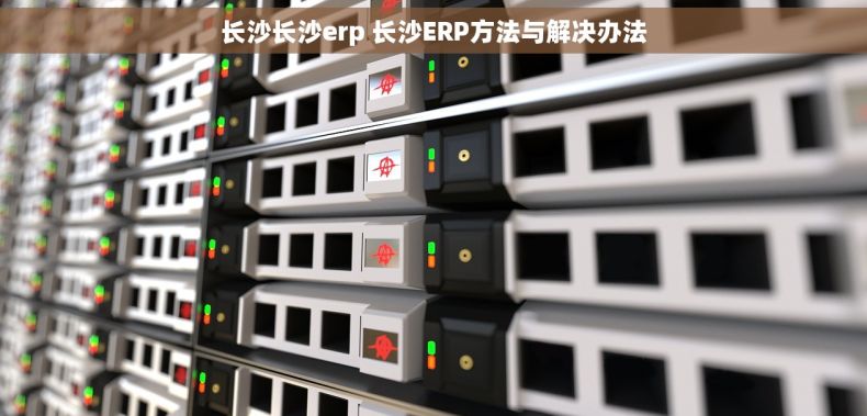 长沙长沙erp 长沙ERP方法与解决办法
