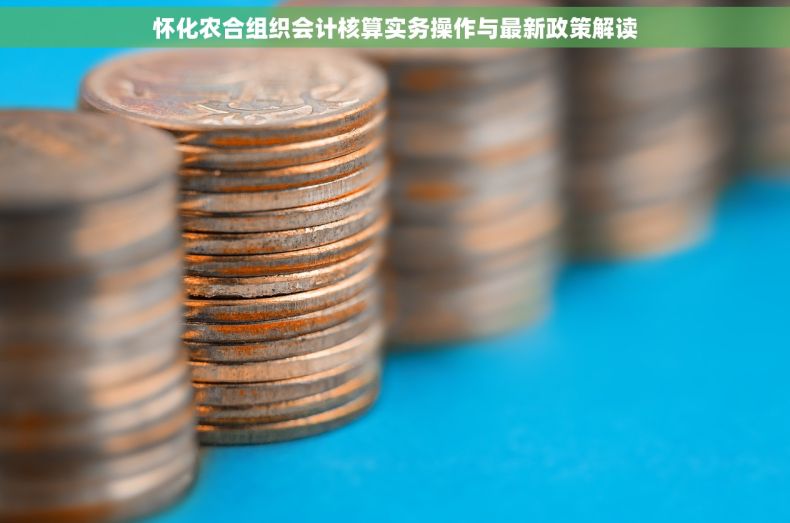 怀化农合组织会计核算实务操作与最新政策解读