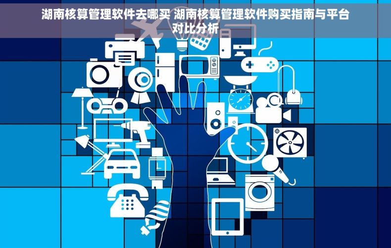 湖南核算管理软件去哪买 湖南核算管理软件购买指南与平台对比分析