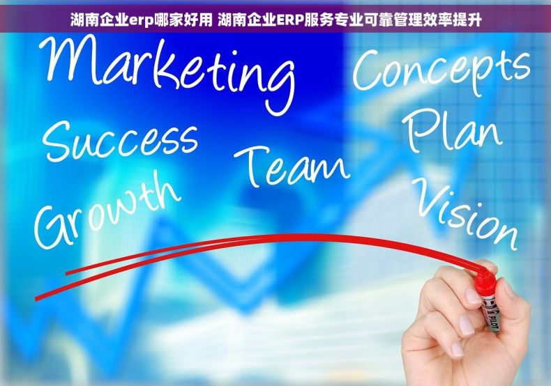湖南企业erp哪家好用 湖南企业ERP服务专业可靠管理效率提升