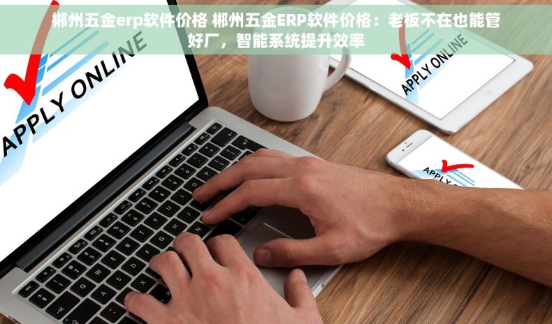 郴州五金erp软件价格 郴州五金ERP软件价格：老板不在也能管好厂，智能系统提升效率