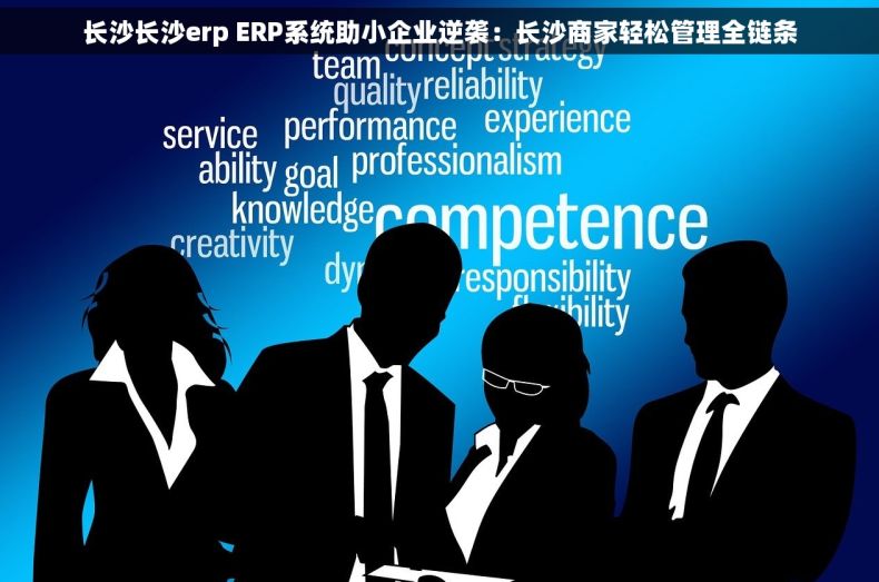 长沙长沙erp ERP系统助小企业逆袭：长沙商家轻松管理全链条