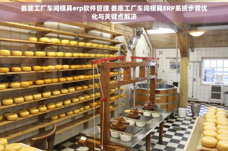 娄底工厂车间模具erp软件管理 娄底工厂车间模具ERP系统步骤优化与关键点解决