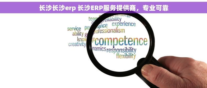 长沙长沙erp 长沙ERP服务提供商，专业可靠