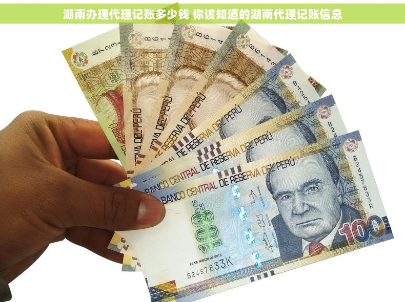 湖南办理代理记账多少钱 你该知道的湖南代理记账信息