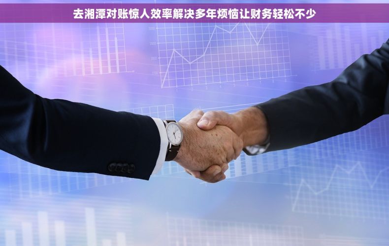 去湘潭对账惊人效率解决多年烦恼让财务轻松不少