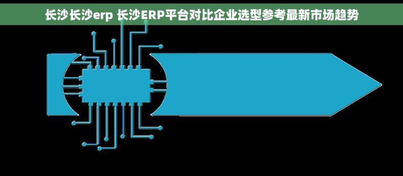 长沙长沙erp 长沙ERP平台对比企业选型参考最新市场趋势