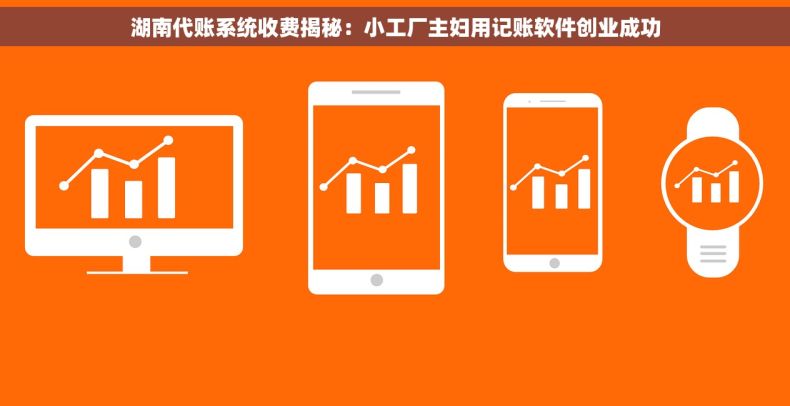 湖南代账系统收费揭秘：小工厂主妇用记账软件创业成功