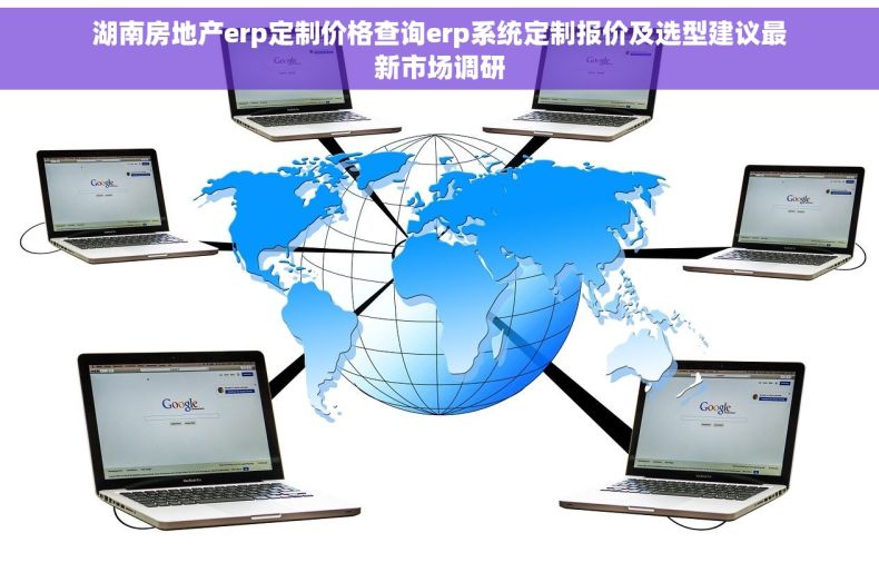 湖南房地产erp定制价格查询erp系统定制报价及选型建议最新市场调研