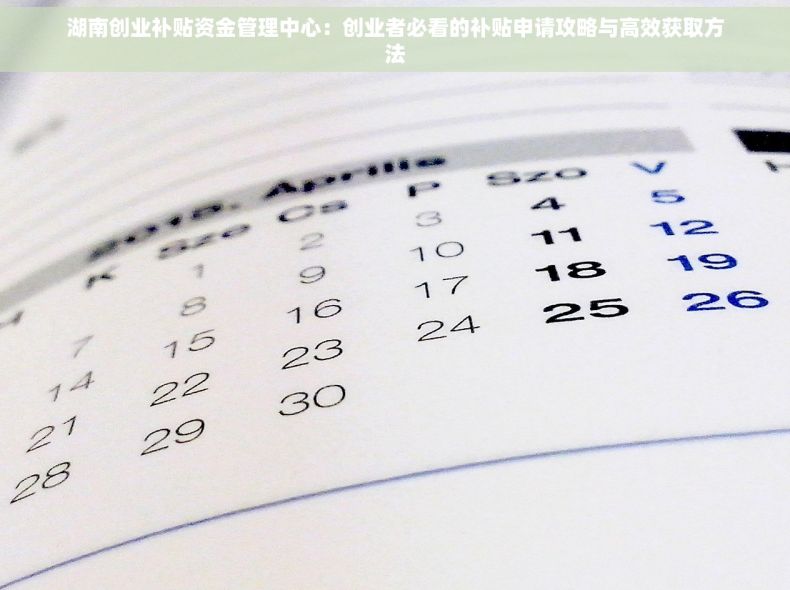 湖南创业补贴资金管理中心：创业者必看的补贴申请攻略与高效获取方法