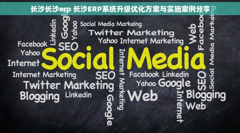 长沙长沙erp 长沙ERP系统升级优化方案与实施案例分享