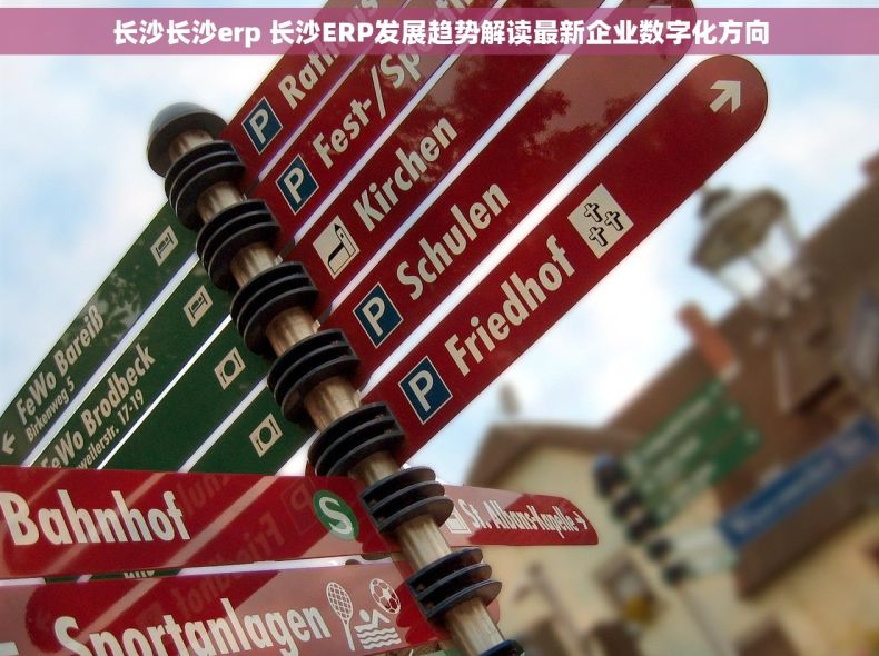 长沙长沙erp 长沙ERP发展趋势解读最新企业数字化方向