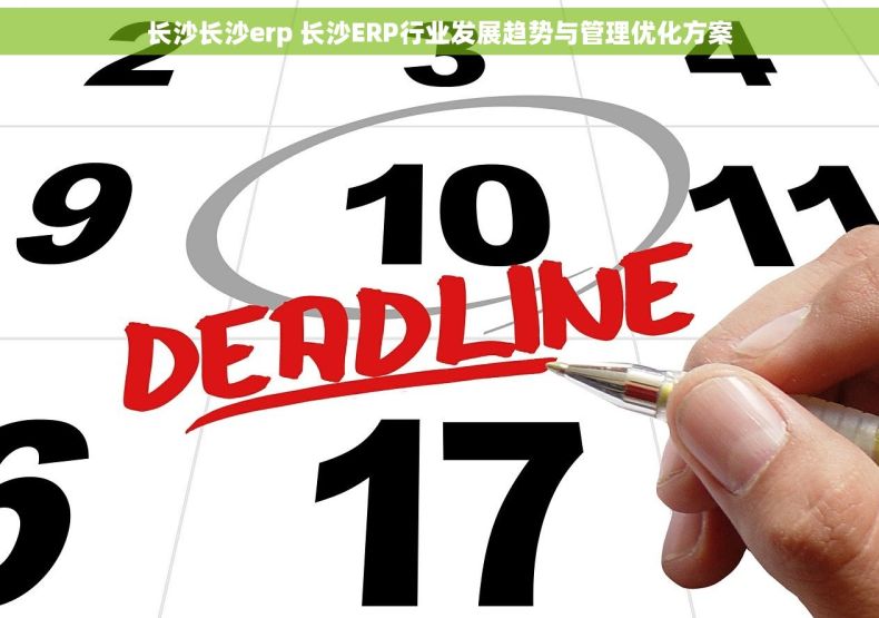 长沙长沙erp 长沙ERP行业发展趋势与管理优化方案