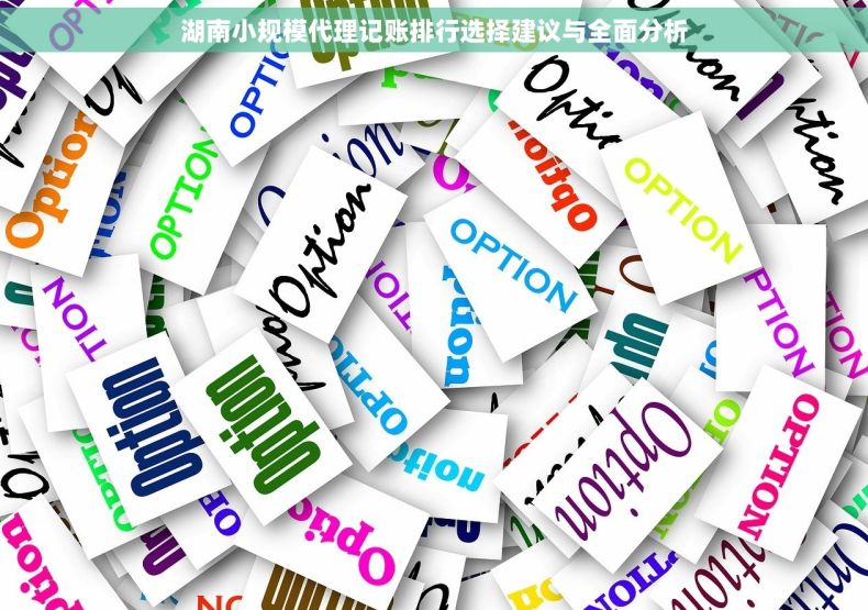 湖南小规模代理记账排行选择建议与全面分析