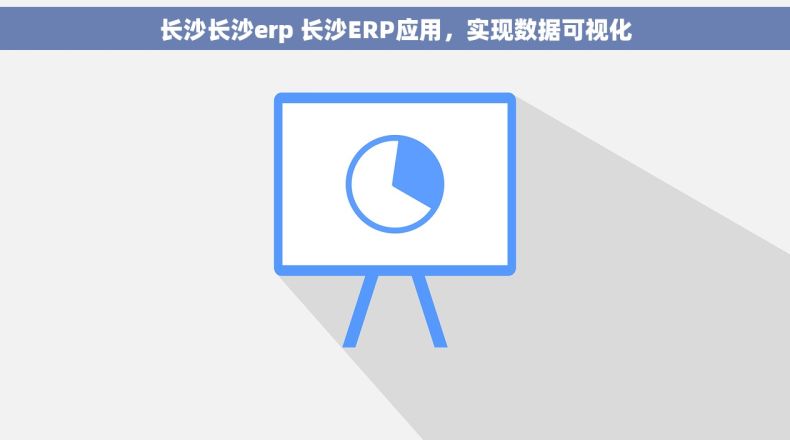 长沙长沙erp 长沙ERP应用，实现数据可视化