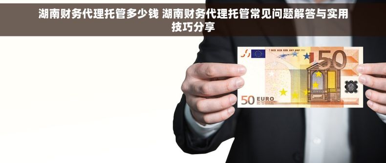 湖南财务代理托管多少钱 湖南财务代理托管常见问题解答与实用技巧分享