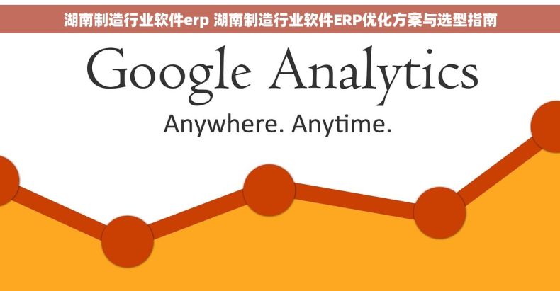 湖南制造行业软件erp 湖南制造行业软件ERP优化方案与选型指南