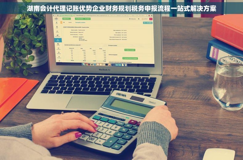 湖南会计代理记账优势企业财务规划税务申报流程一站式解决方案